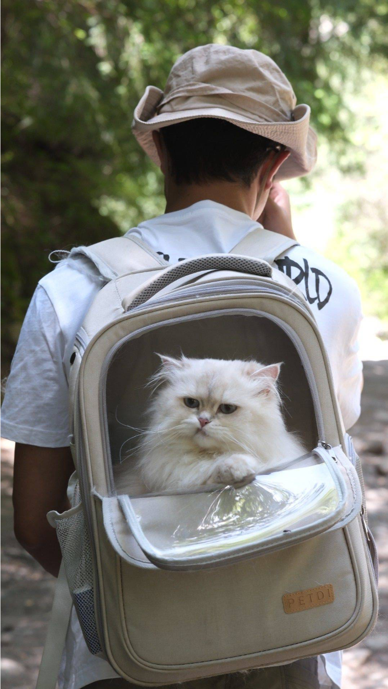 甲尔猛措⛰️_0