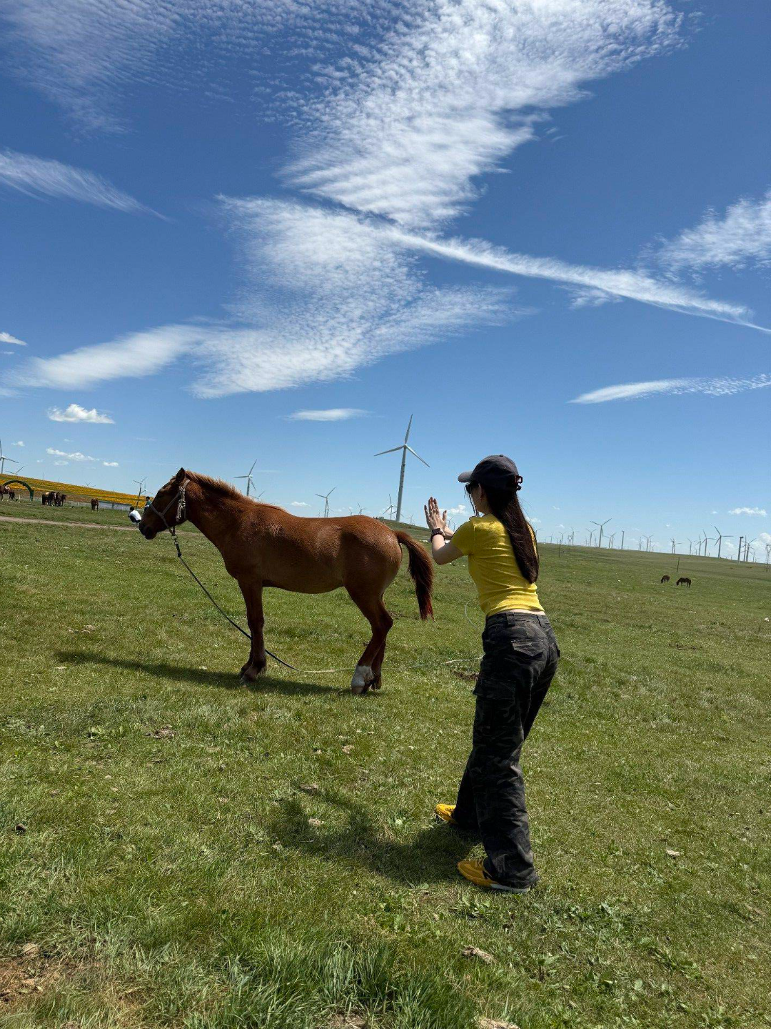 拍马屁哈哈哈 找搭子  🏳️‍🌈  